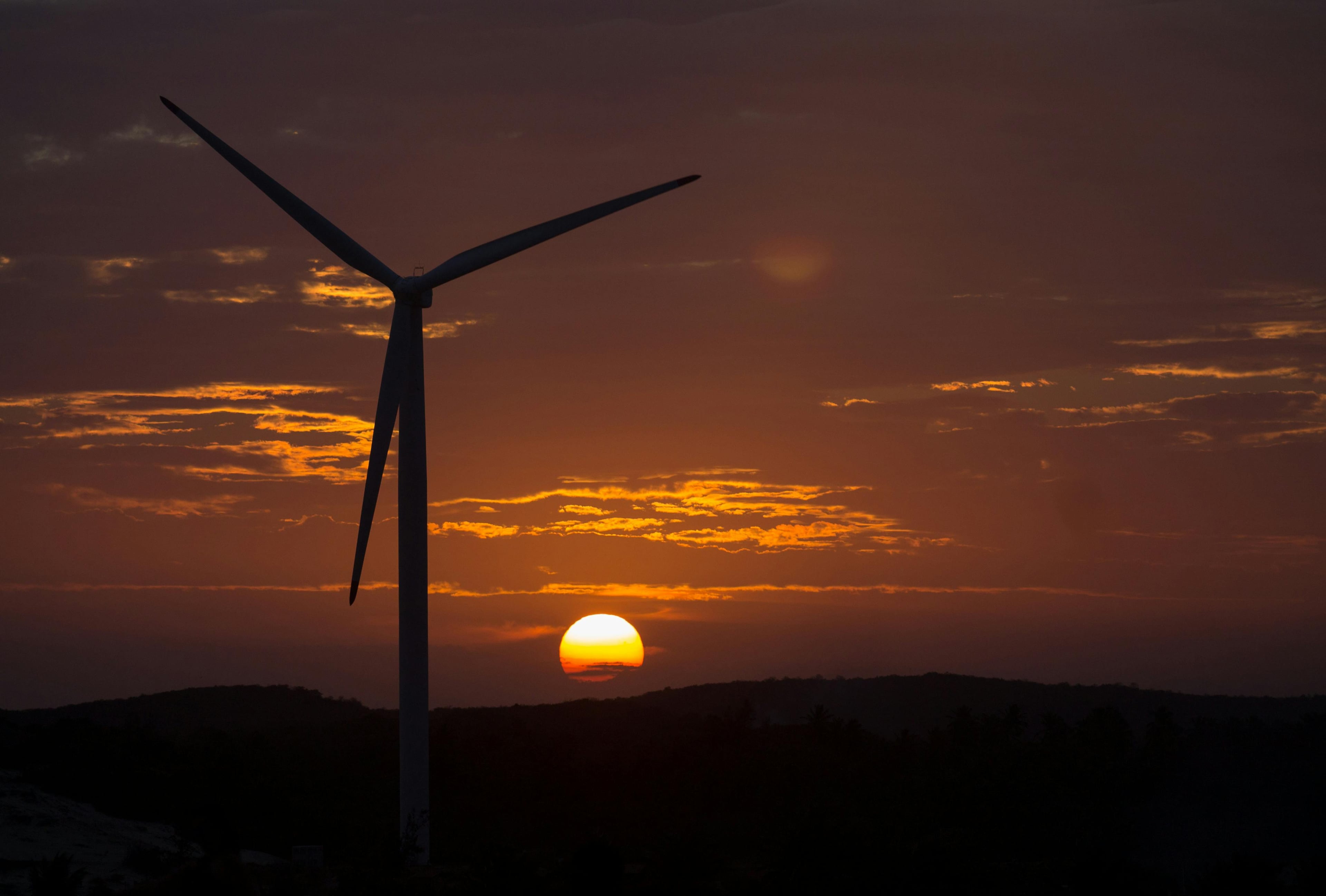 Neoenergia's Q2 2025 Growth: Energy Distribution, Renewable Investments, and Market Trends